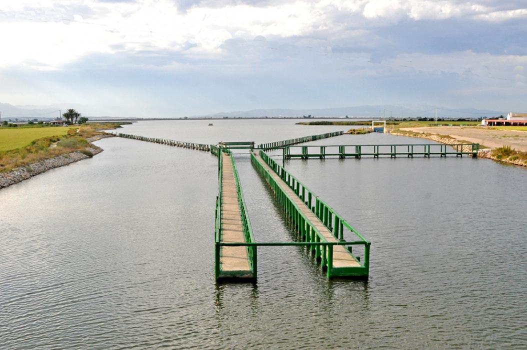 La Pantena a Amposta ***