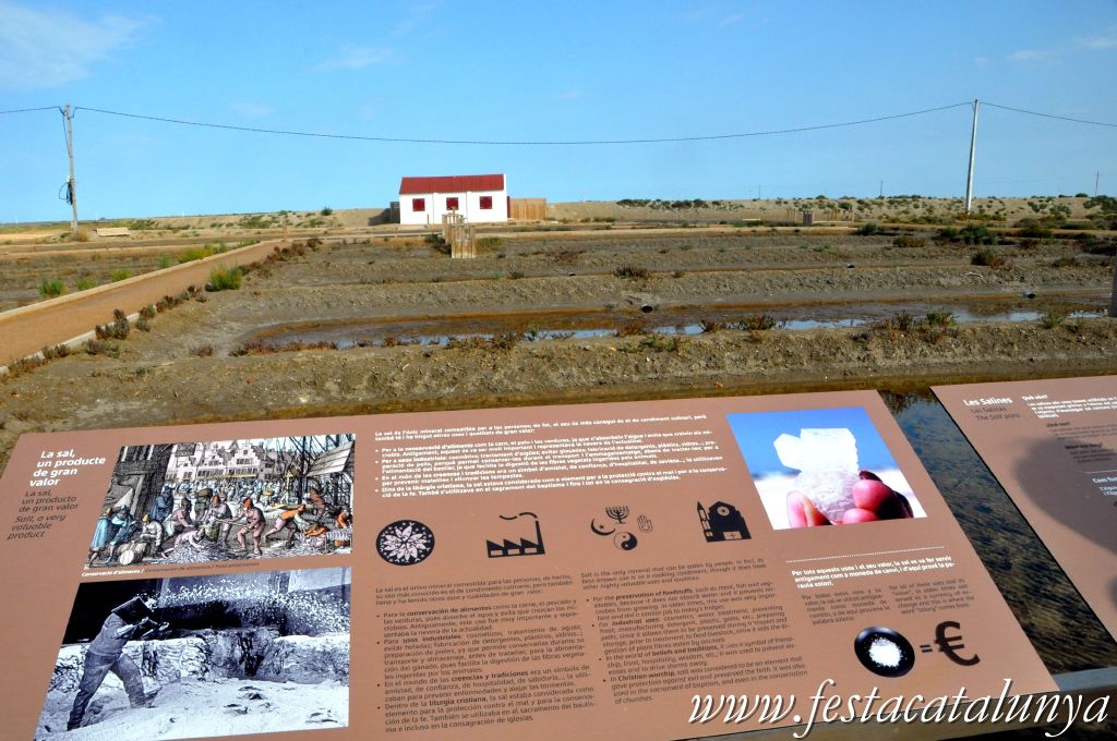 MónNatura Delta a Amposta