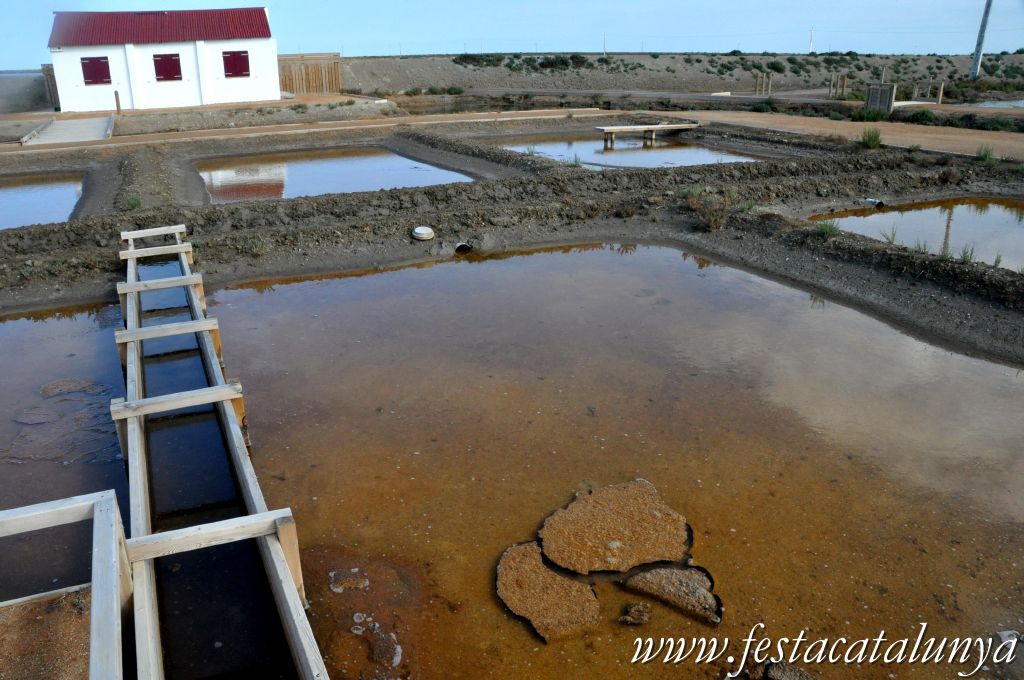 MónNatura Delta a Amposta
