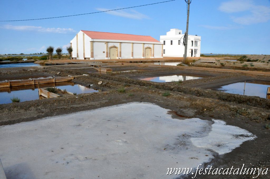 MónNatura Delta a Amposta