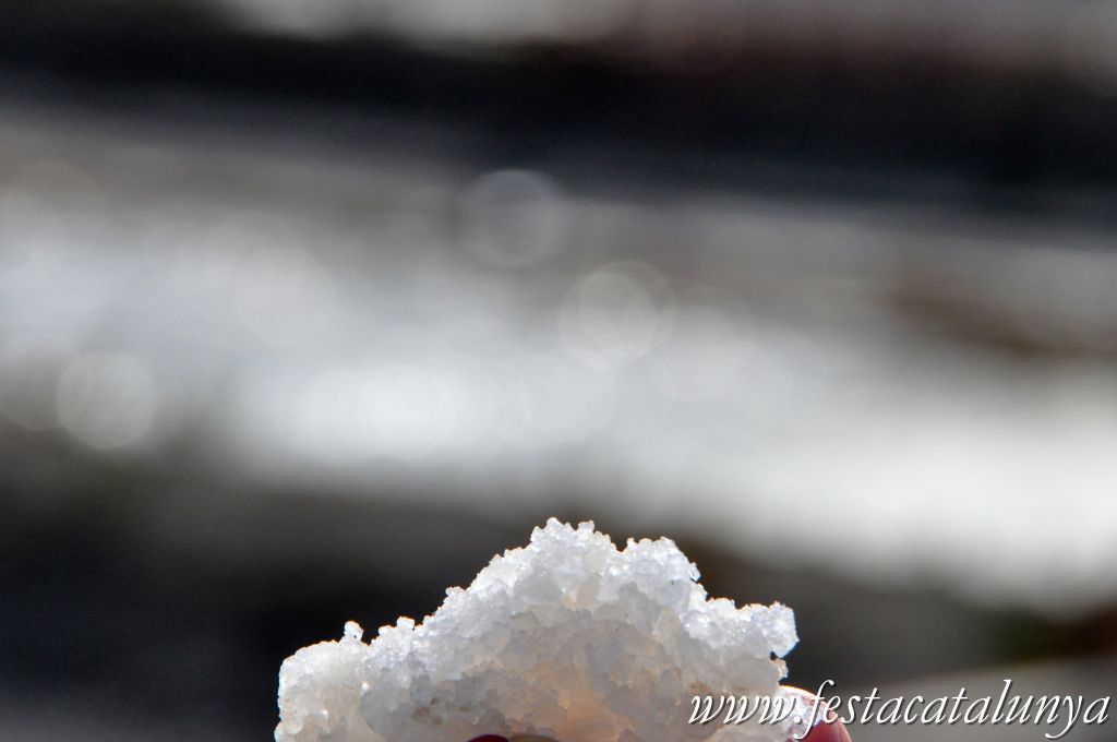 MónNatura Delta a Amposta