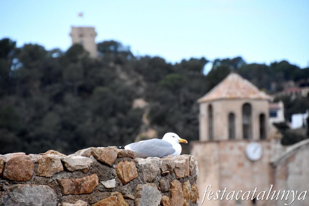 Tossa de Mar - Muralles
