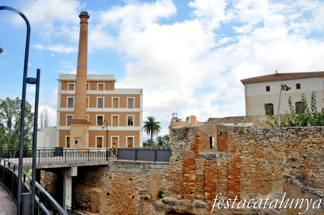 Amposta - Antic molí de Cercós