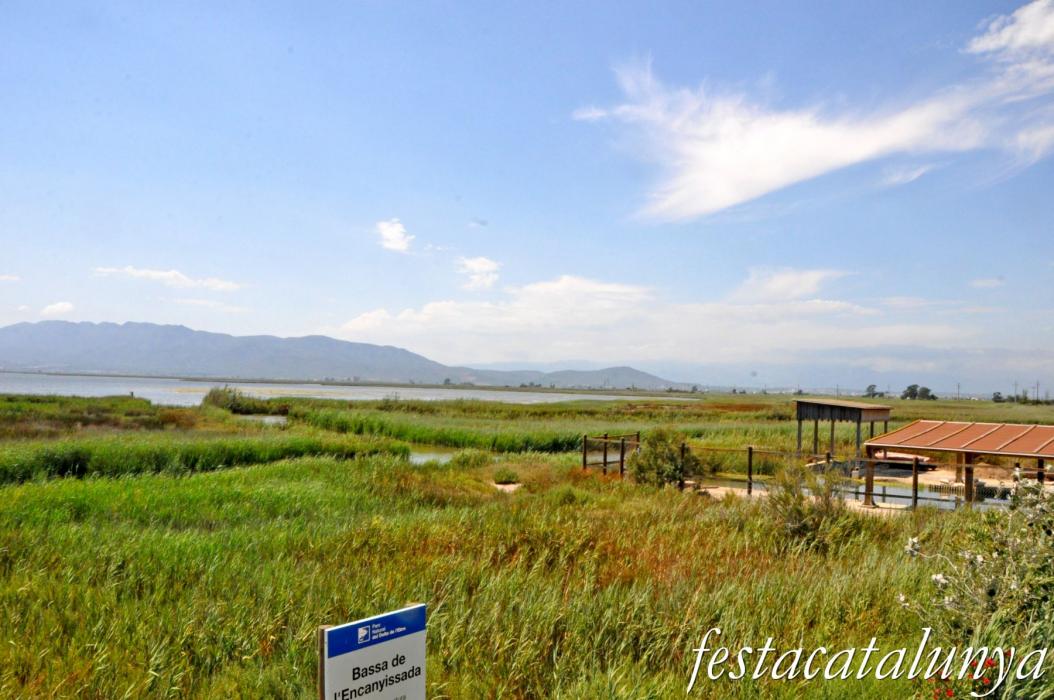 Amposta - L'Encanyissada - Bassa de l'Encanyissada