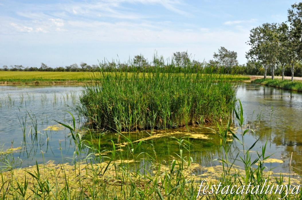 Amposta - L'Encanyissada - La Casa de Fusta
