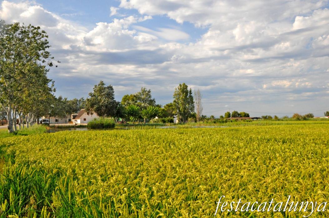 Amposta - L'Encanyissada - La Casa de Fusta