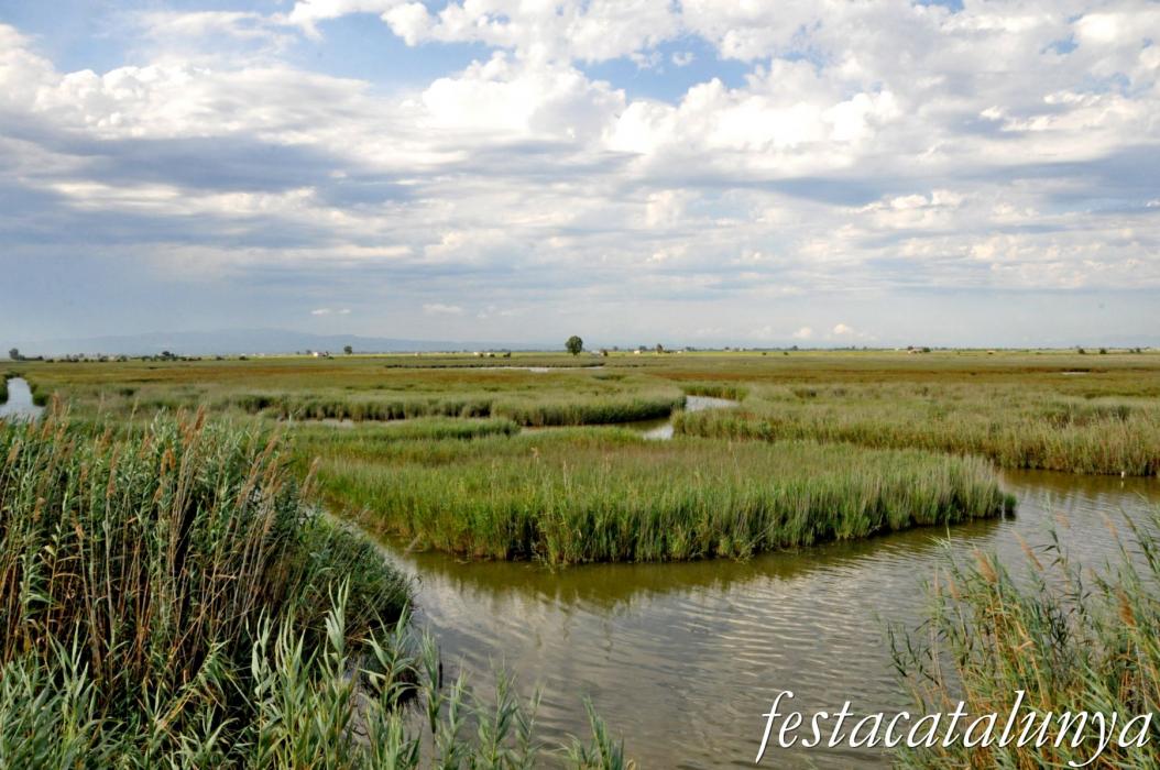 Amposta - L'Encanyissada - Pont del Través