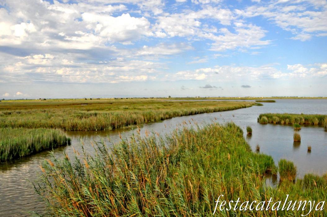 Amposta - L'Encanyissada - Pont del Través
