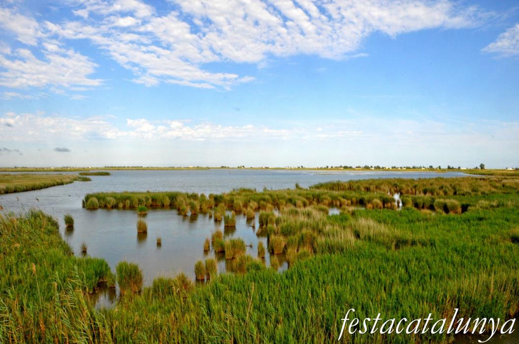 Amposta - L'Encanyissada - Pont del Través