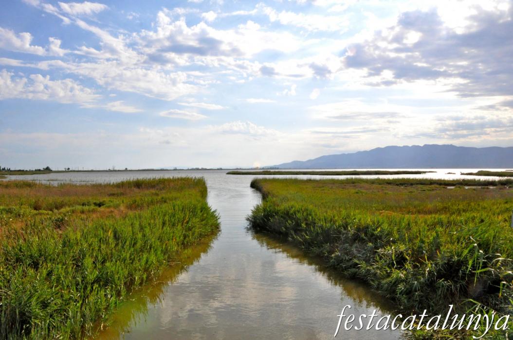 Amposta - L'Encanyissada - Xarxa de reg del Delta