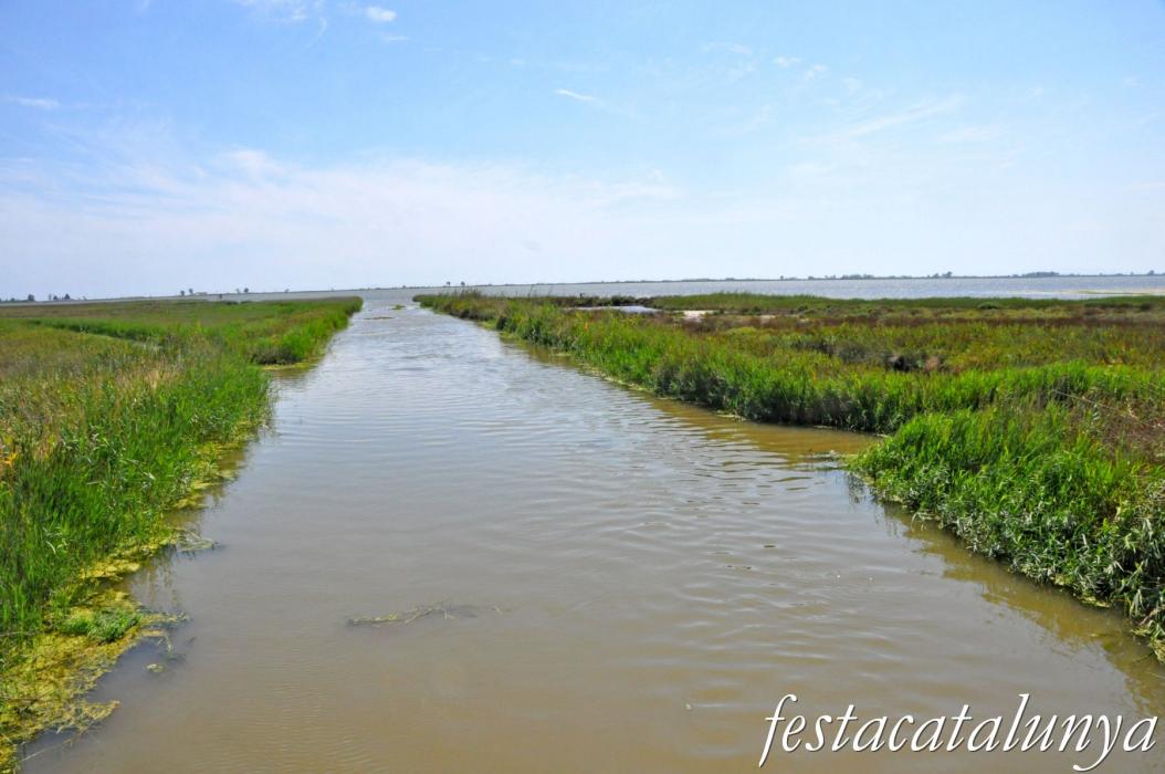 Amposta - L'Encanyissada - Xarxa de reg del Delta