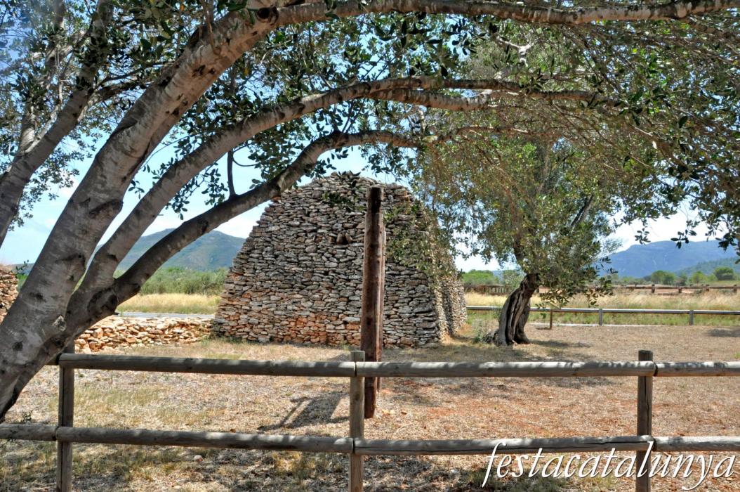 Amposta - Barraca de l'Ametllé