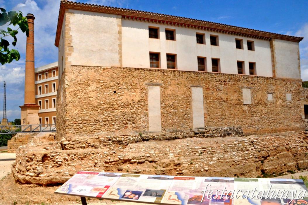 Amposta - Castell d'Amposta