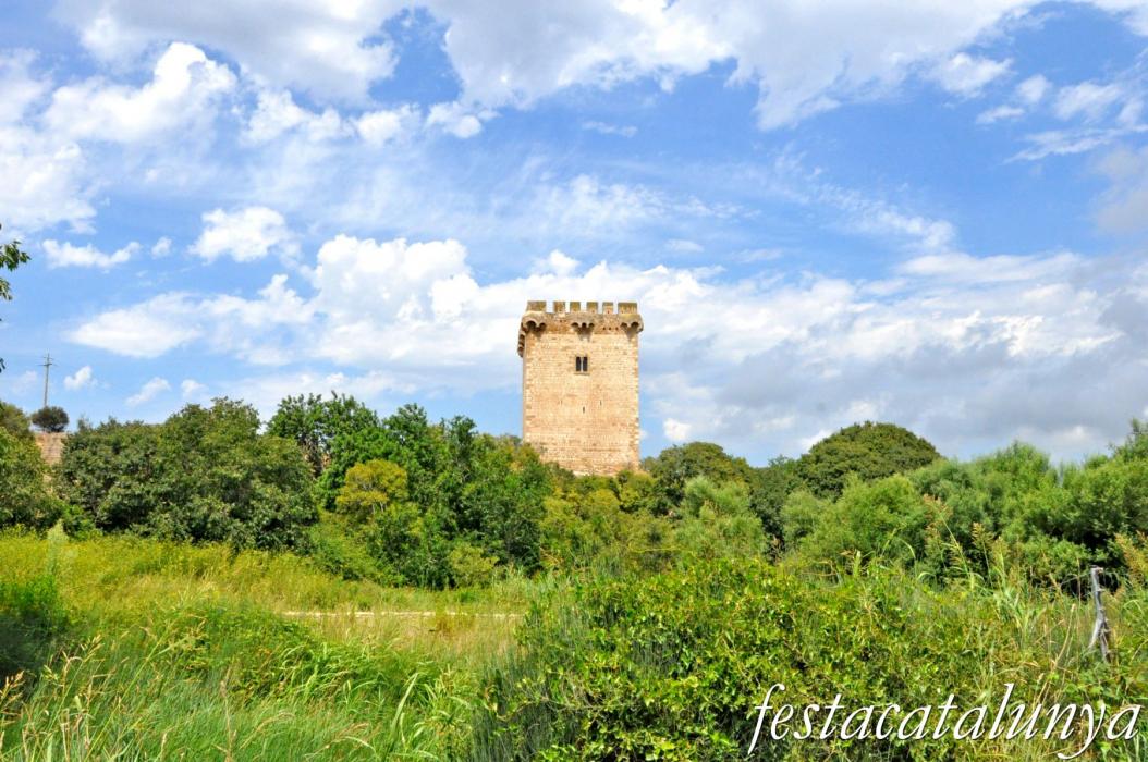 Amposta - Torre de la Carrova