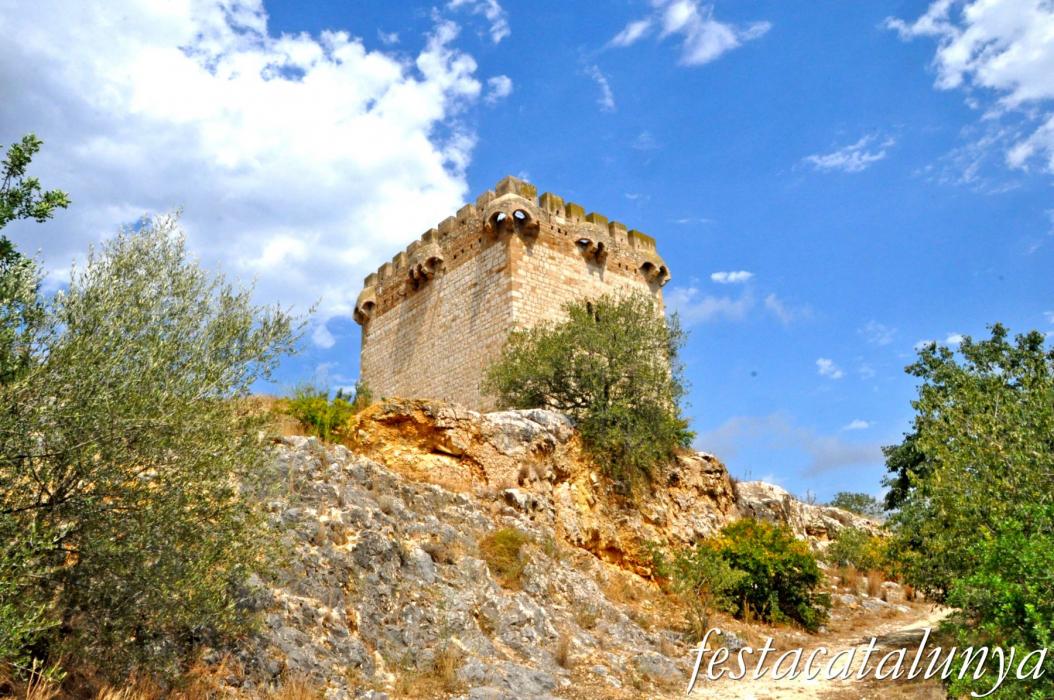 Amposta - Torre de la Carrova