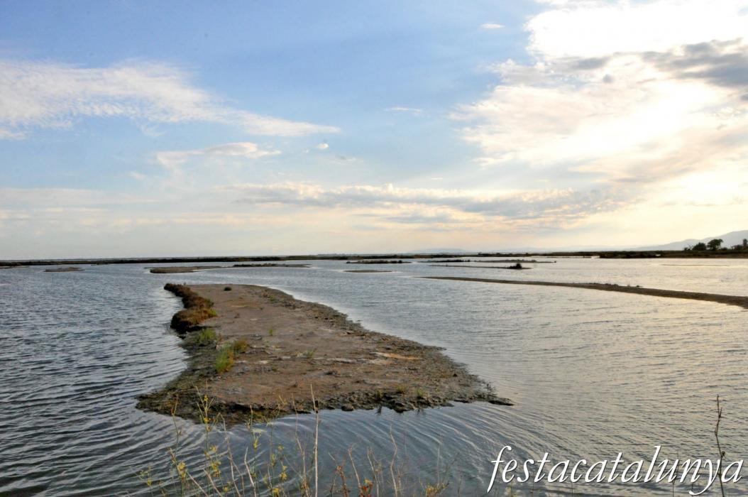 Amposta - Llacuna de la Tancada