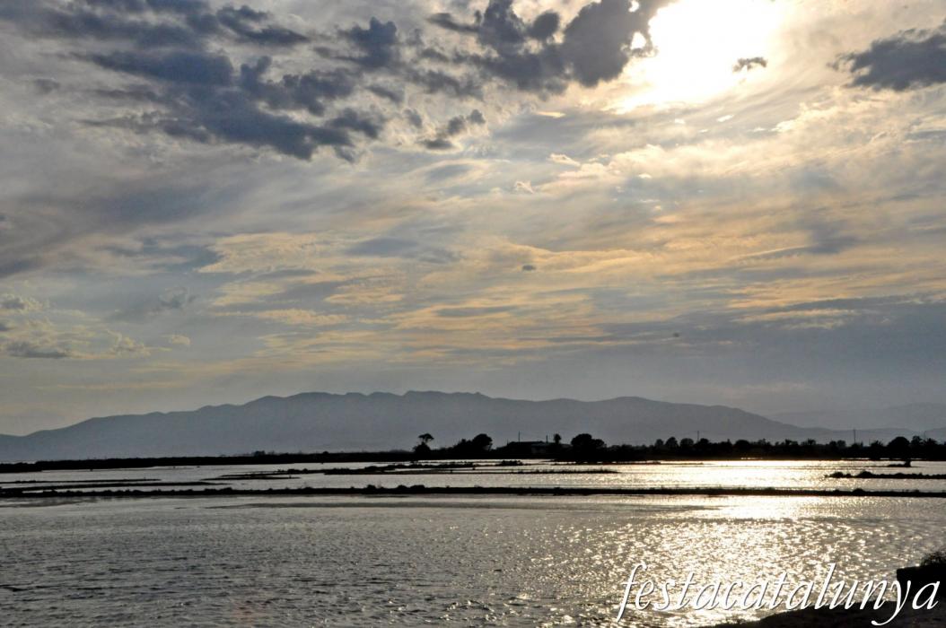 Amposta - Llacuna de la Tancada