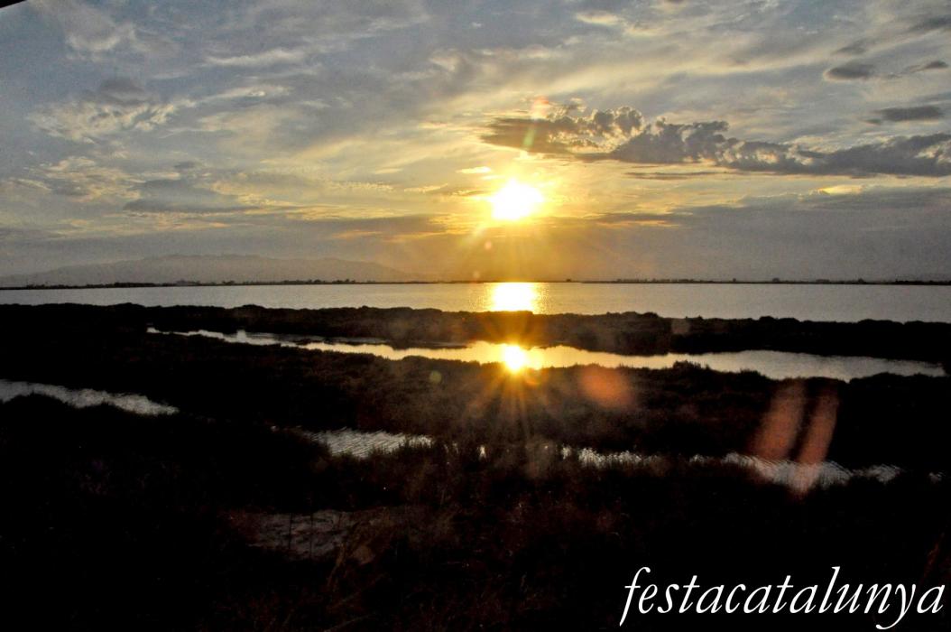 Amposta - Llacuna de la Tancada