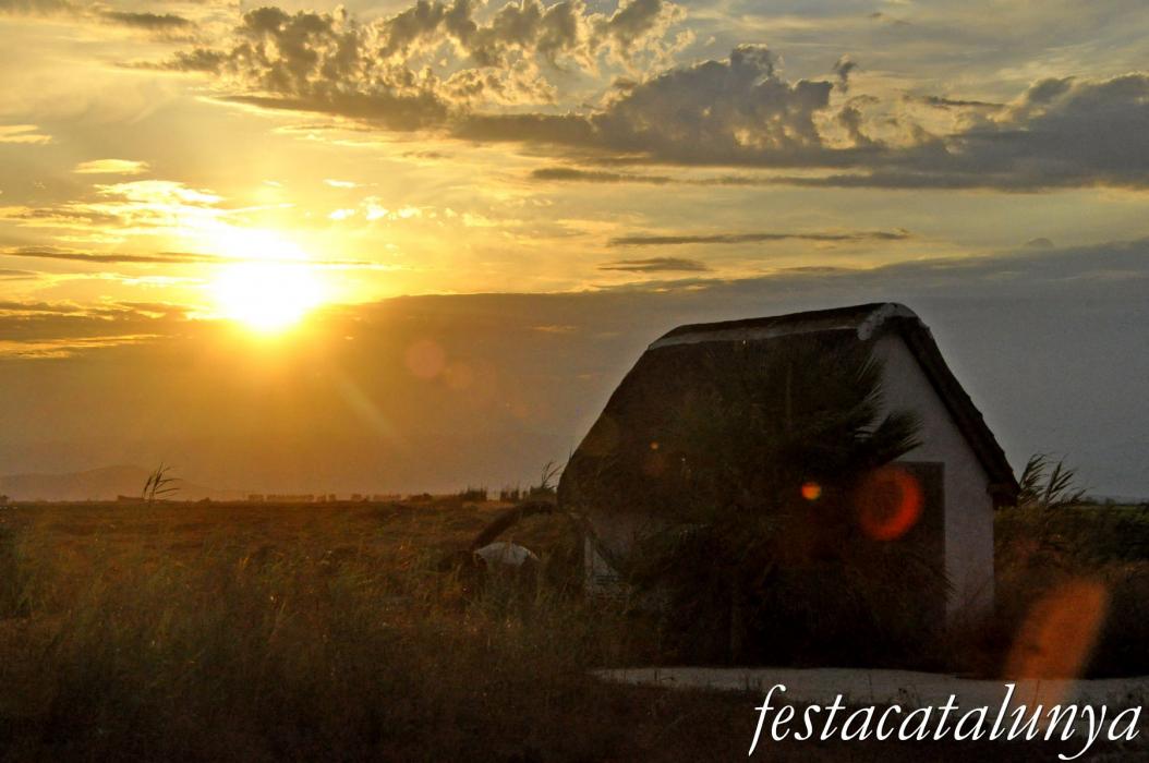 Amposta - Llacuna de la Tancada