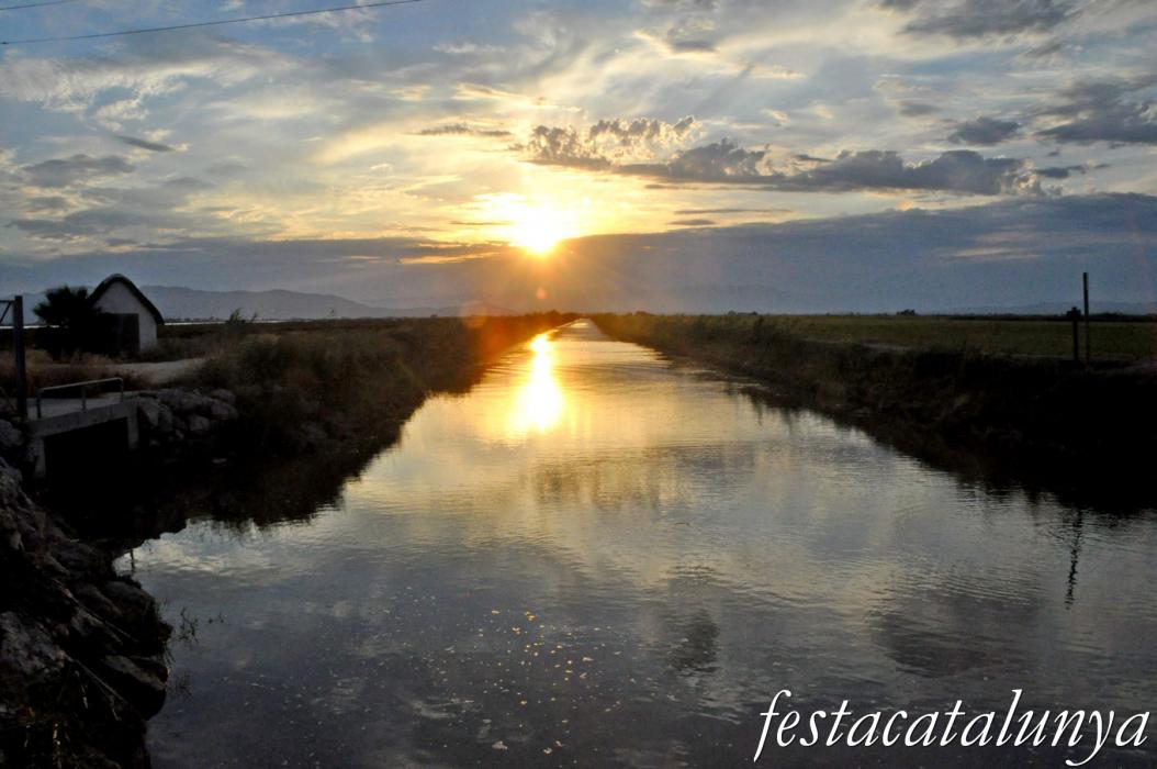 Amposta - Llacuna de la Tancada
