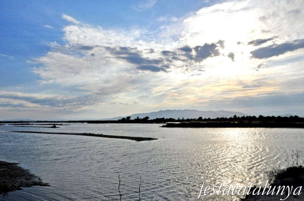 Amposta - Llacuna de la Tancada