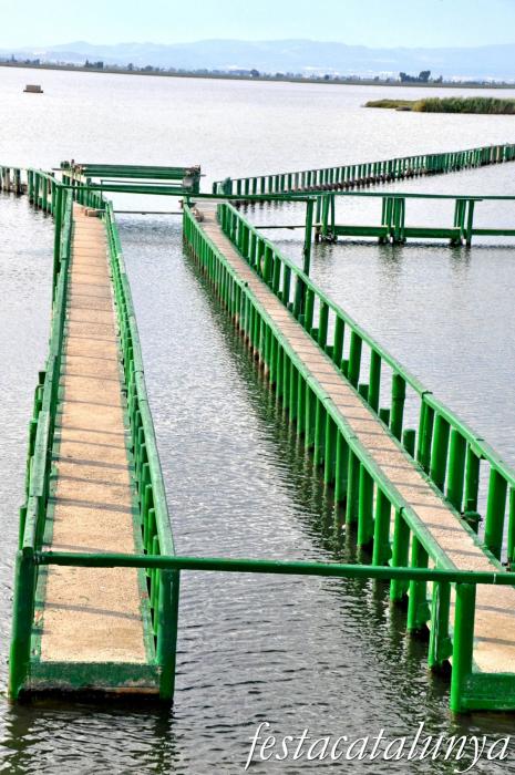 Amposta - La Pantena