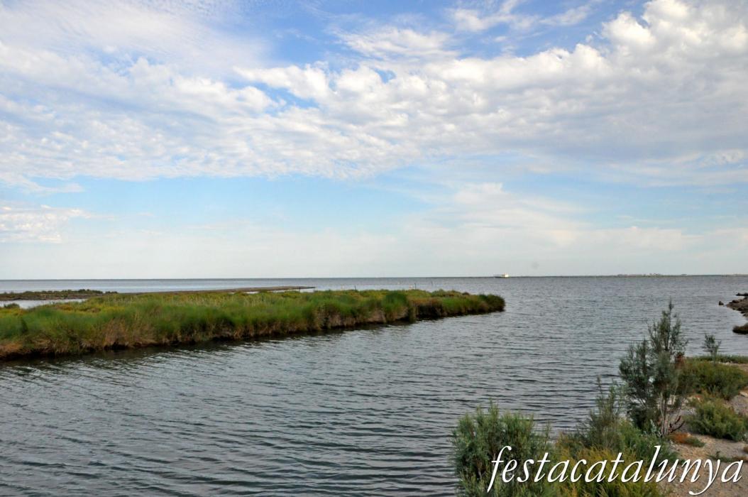 Amposta - La Pantena