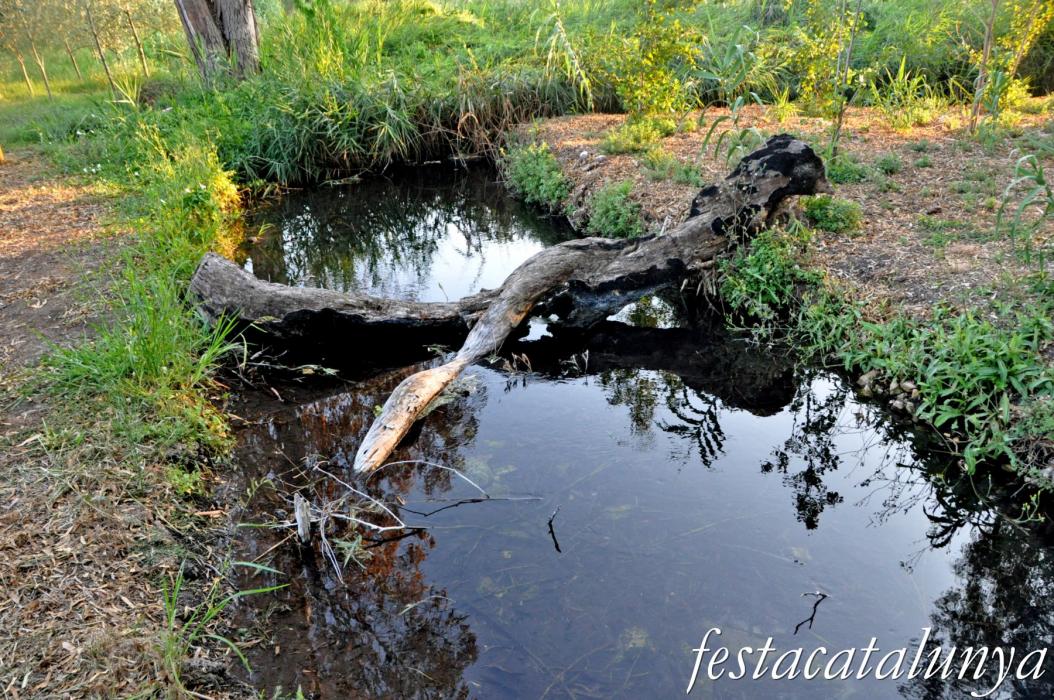 Amposta - Els Ullals de Baltasar