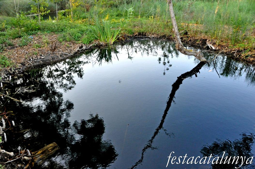 Amposta - Els Ullals de Baltasar