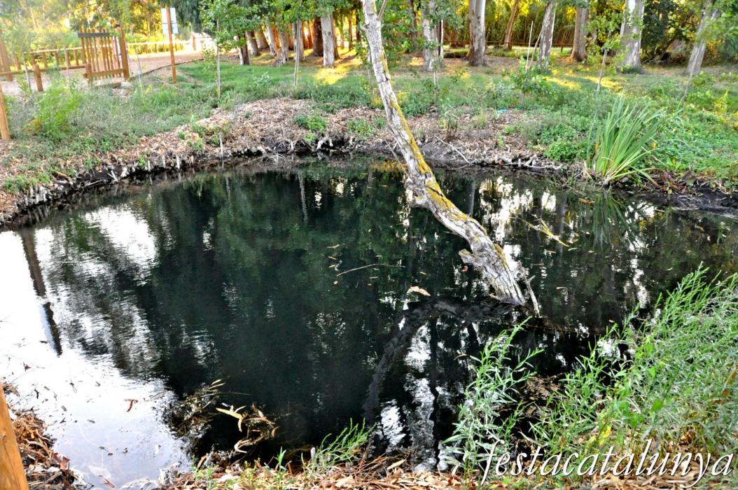 Amposta - Els Ullals de Baltasar