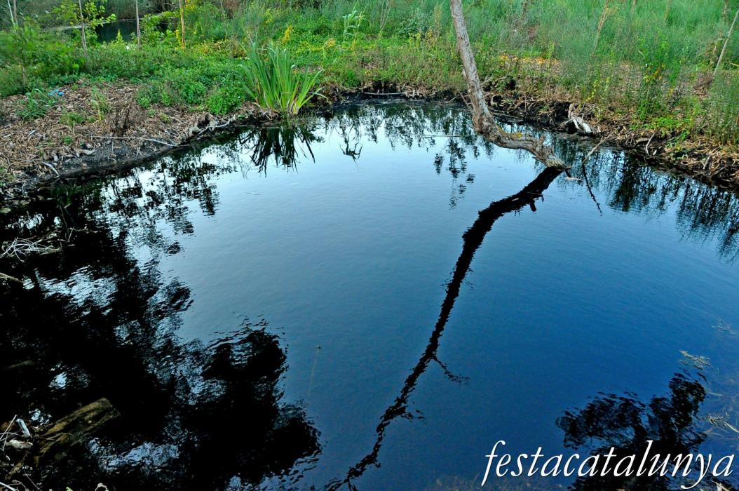 Amposta - Els Ullals de Baltasar