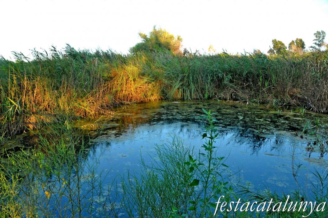 Amposta - Els Ullals de Baltasar