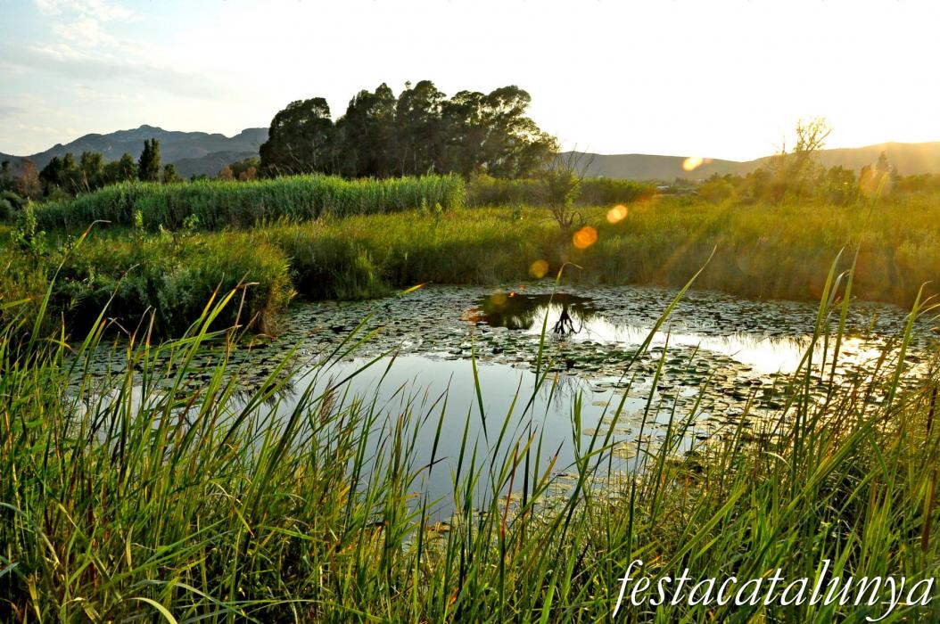 Amposta - Els Ullals de Baltasar