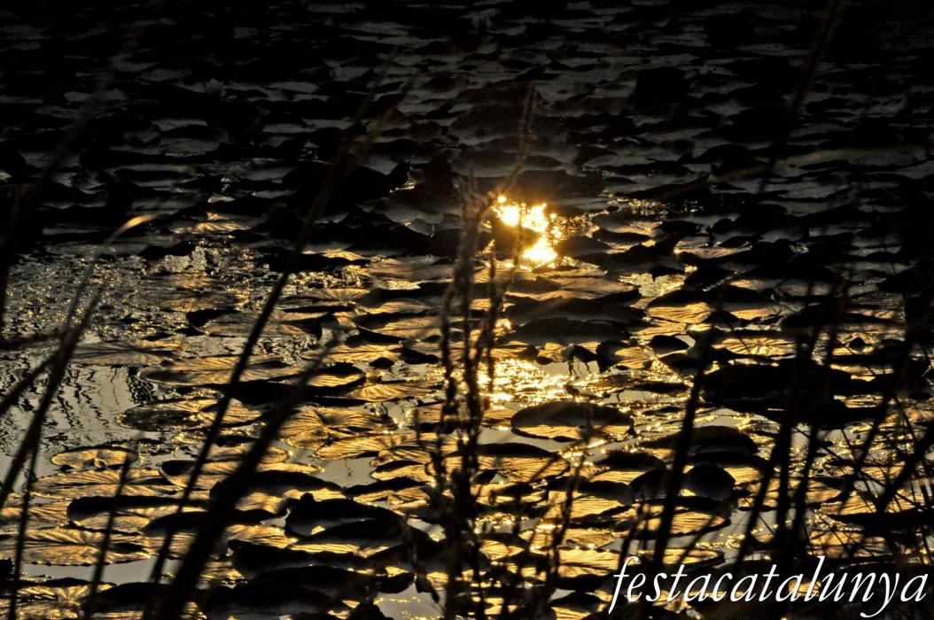 Amposta - Els Ullals de Baltasar