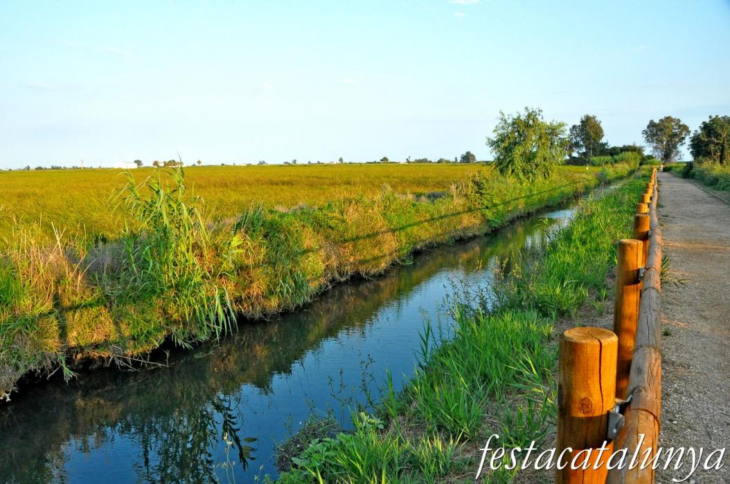 Amposta - Els Ullals de Baltasar