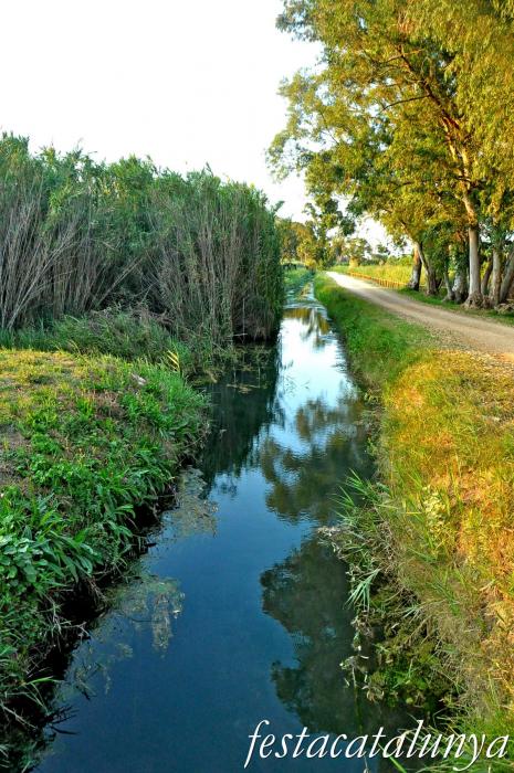Amposta - Els Ullals de Baltasar