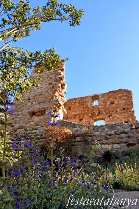 Molins de Rei - Castellciuró