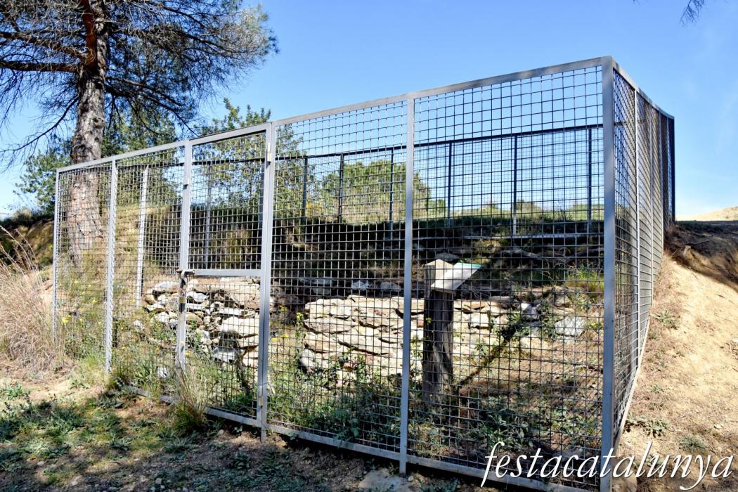 Molins de Rei - Poblat ibèric del Pla de les Bruixes