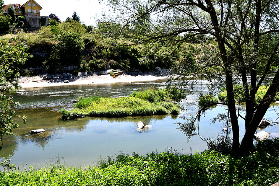 Riu Ter al seu pas per Roda de Ter ***