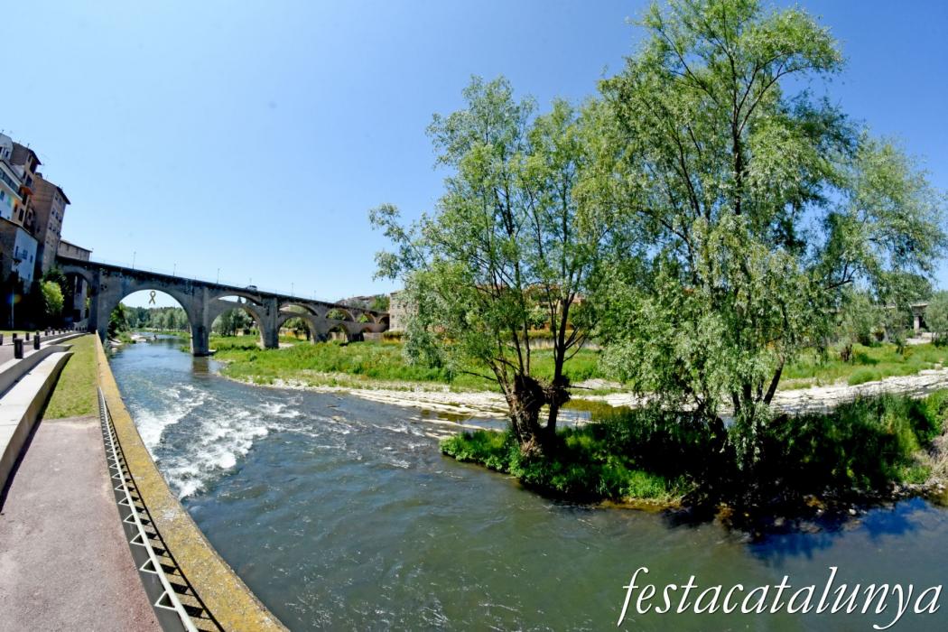 Roda de Ter - Riu Ter