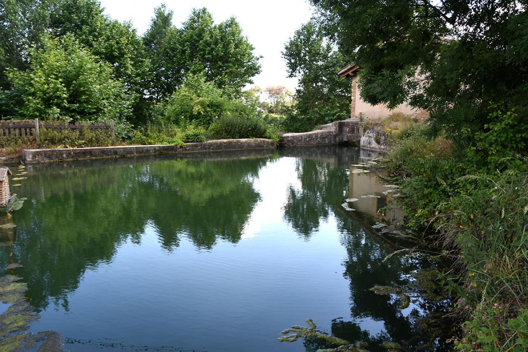 Ruta dels molins fariners