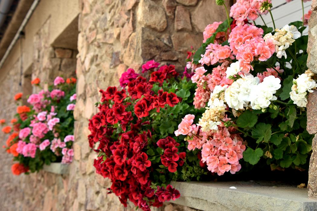 Nucli antic d'Espinelves