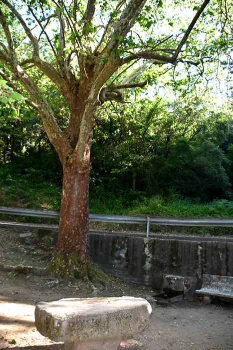 Font de les Delícies