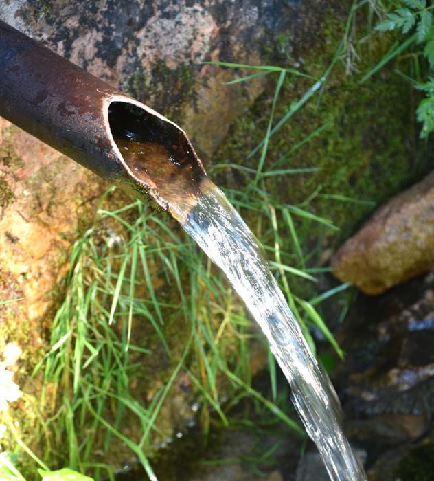 Font de les Paitides