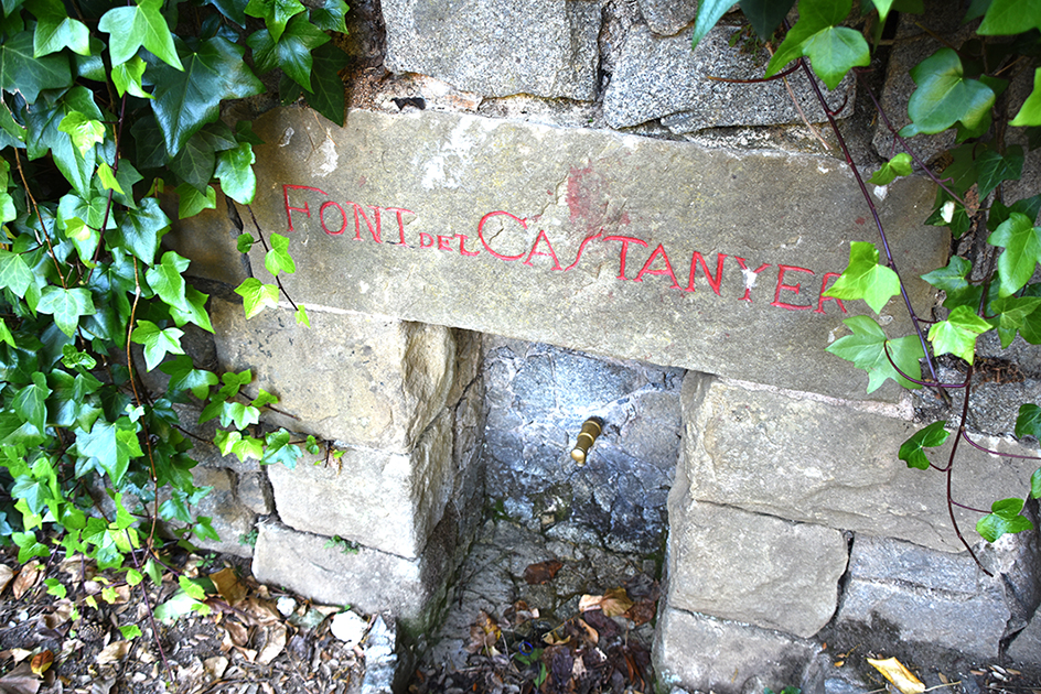Font del Castanyer