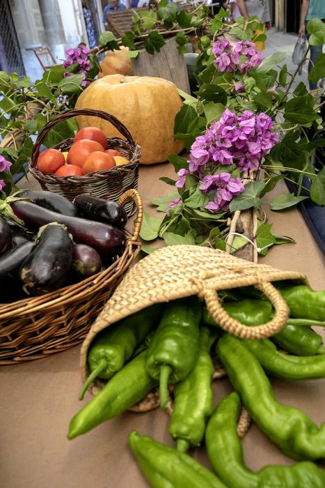 Firagost, la fira-exposició del camp català a Valls