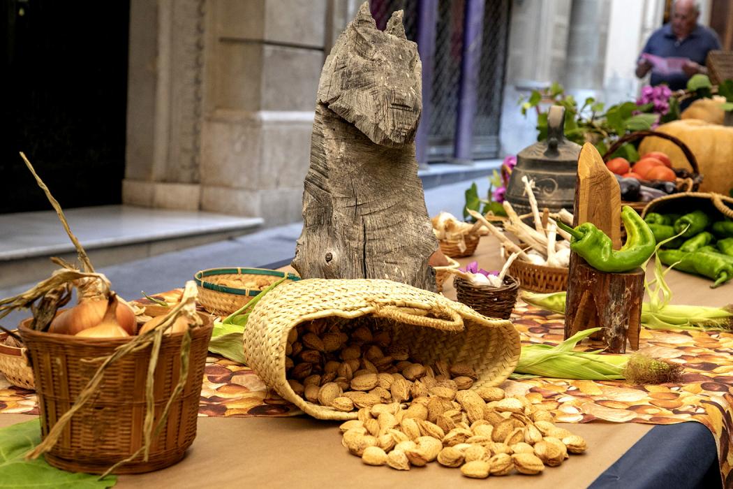 Firagost, la fira-exposició del camp català a Valls