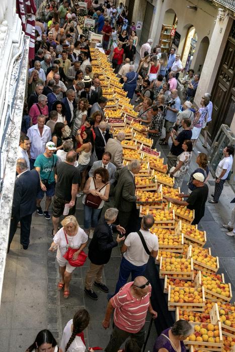 Firagost, la fira-exposició del camp català a Valls