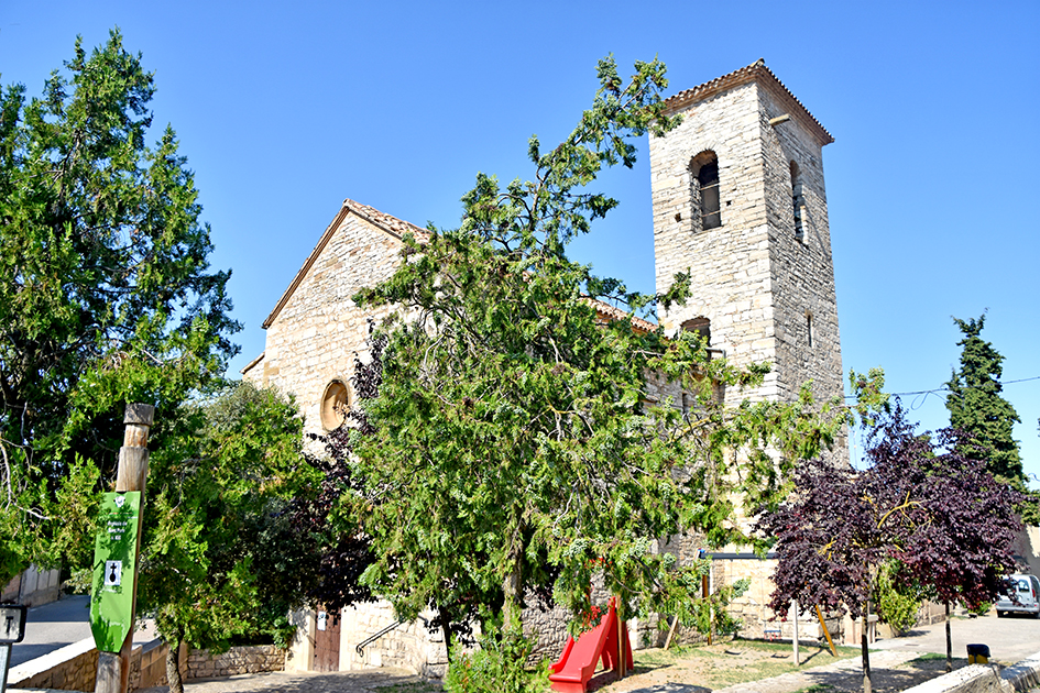 Castellnou d'Oluges al terme de Cervera