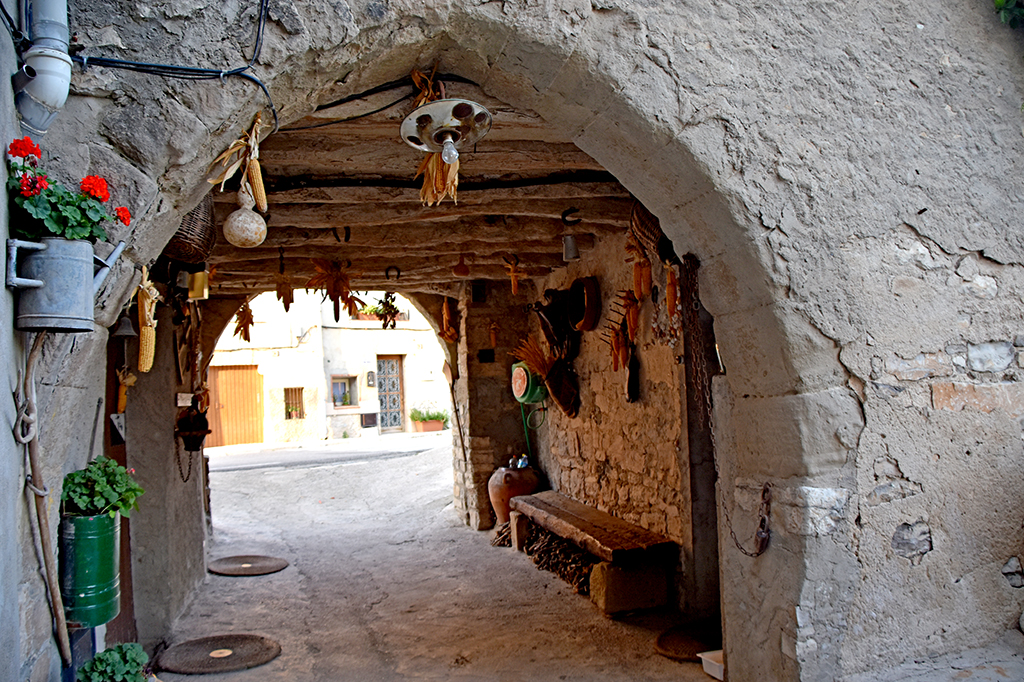 Vergós al terme de Cervera